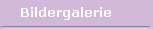 Bildergalerie