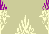home-logo